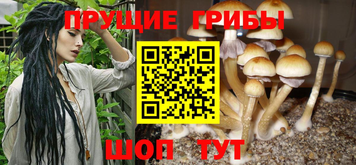 Лобня  Галлюциногенные грибы мицелий  Вход с VPN 