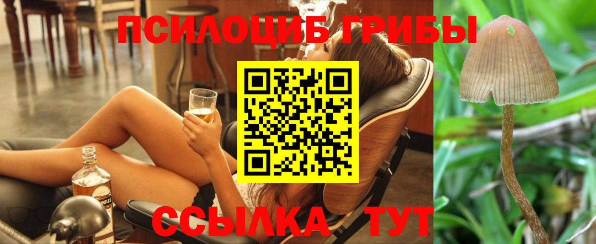 Галлюциногенные грибы прущие грибы Лобня